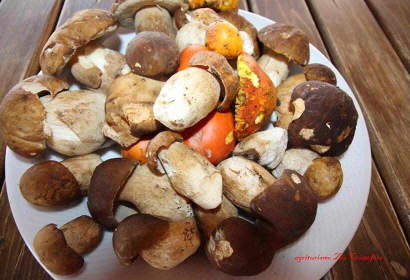 Отель Agriturismo Zio Cristoforo