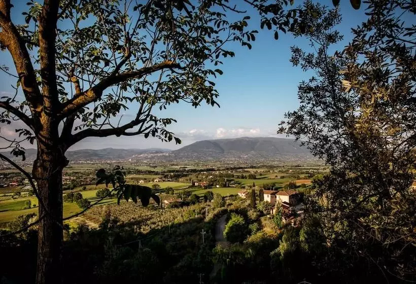 ホテル Il Poggio Degli Olivi