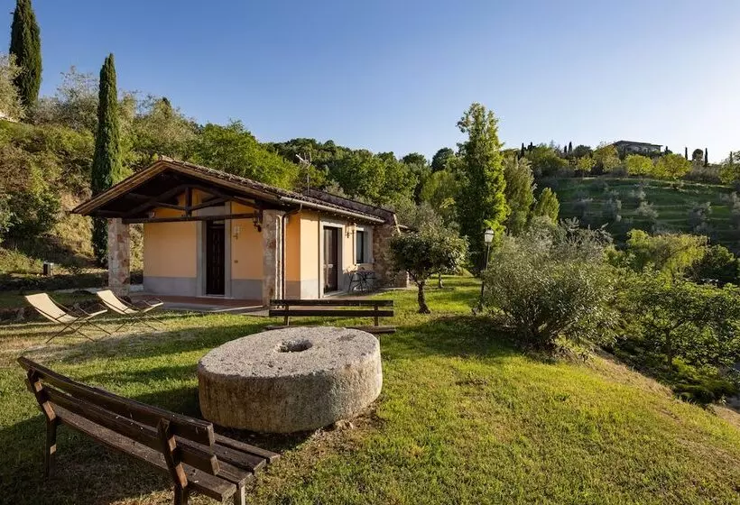 ホテル Il Poggio Degli Olivi