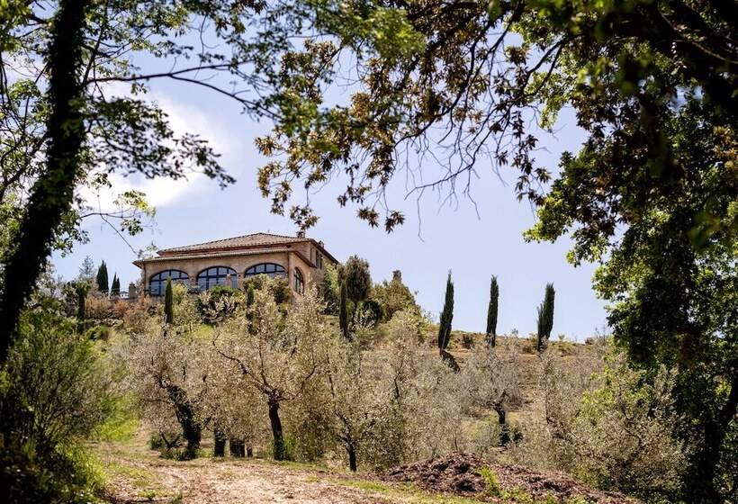 בית מלון כפרי Il Poggio Degli Olivi