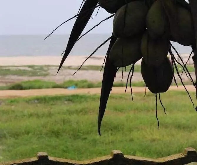 هتل Résidence Saint Jacques Bord De Mer