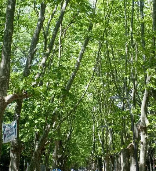 בית מלון כפרי Vittoria