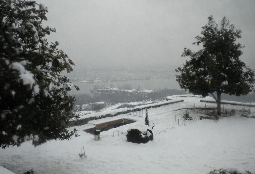 Hotell Blooming Dale