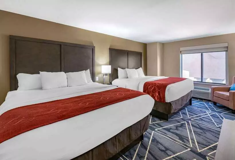 酒店 Comfort Inn & Suites