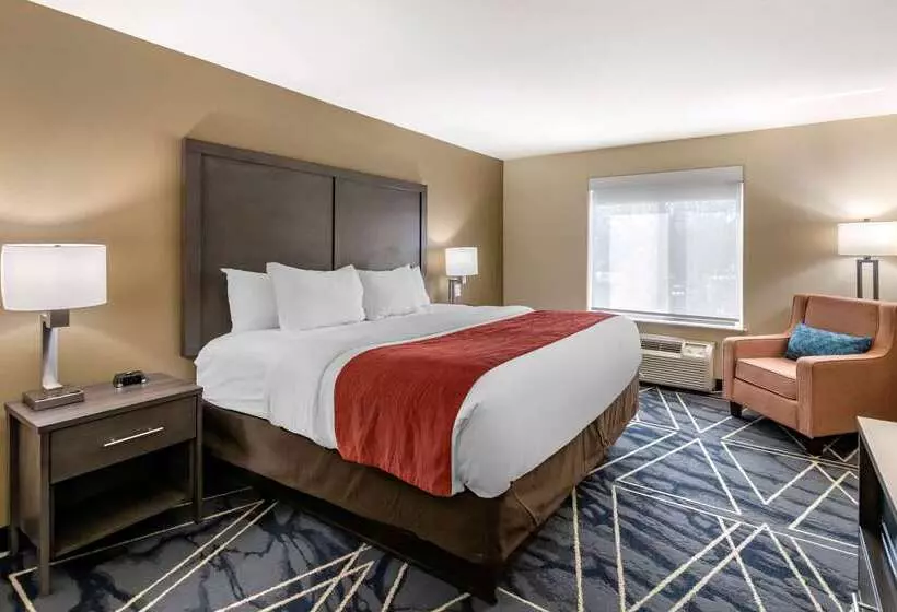 酒店 Comfort Inn & Suites