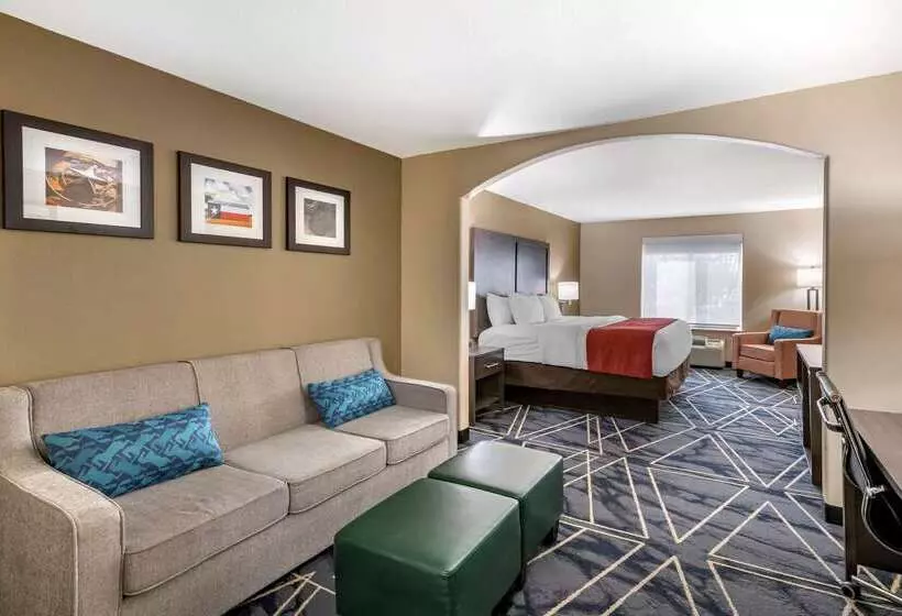 酒店 Comfort Inn & Suites