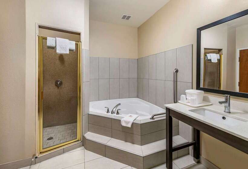 酒店 Comfort Inn & Suites