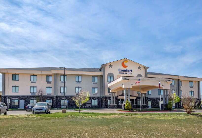 酒店 Comfort Inn & Suites