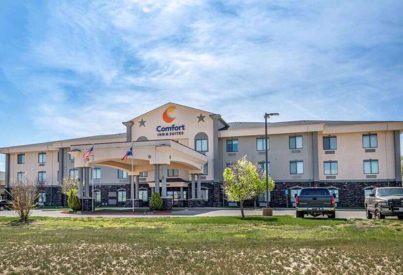 酒店 Comfort Inn & Suites