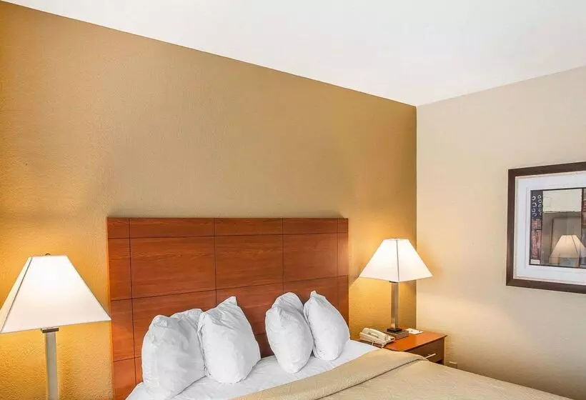 Отель Quality Inn & Suites