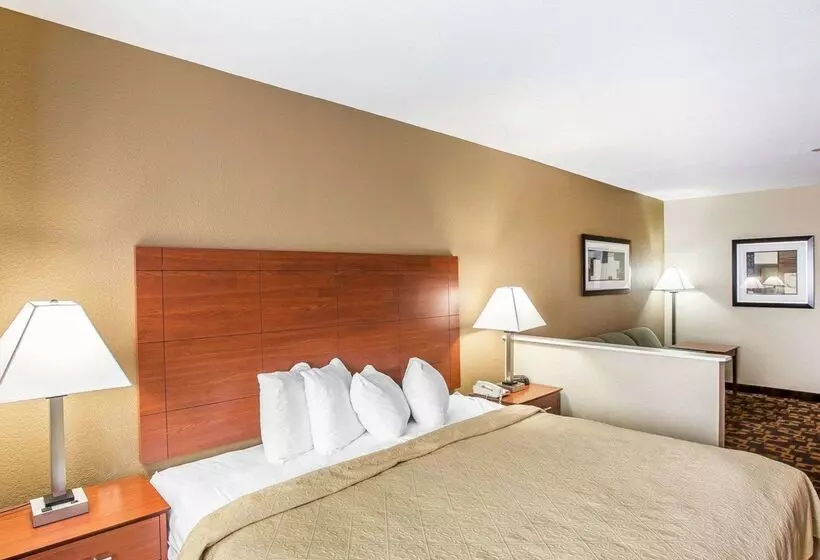 Отель Quality Inn & Suites