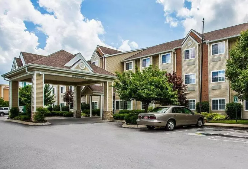 Отель Quality Inn & Suites