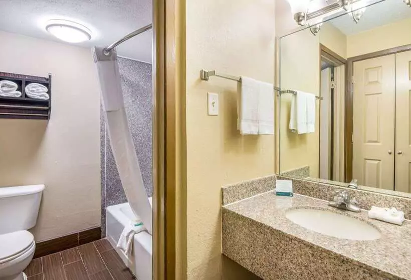 Отель Quality Inn