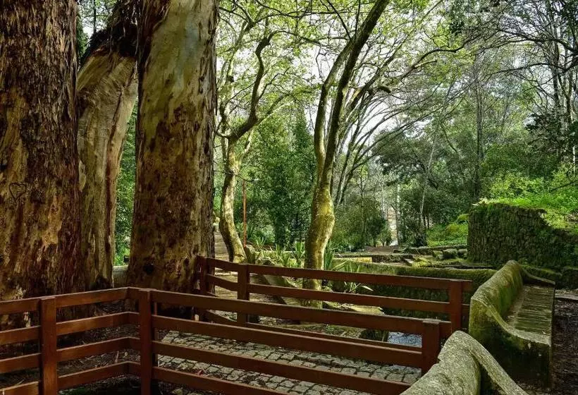 Central Monchique Hotel - Villa Termal Spa Resort by Unlock Hotels