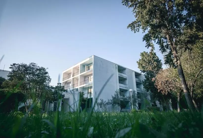 ホテル Rivijera Flora Madera Vodice