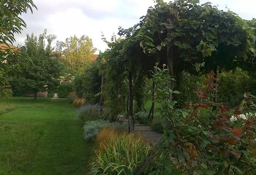 هتل Bauer Palladio  & Spa