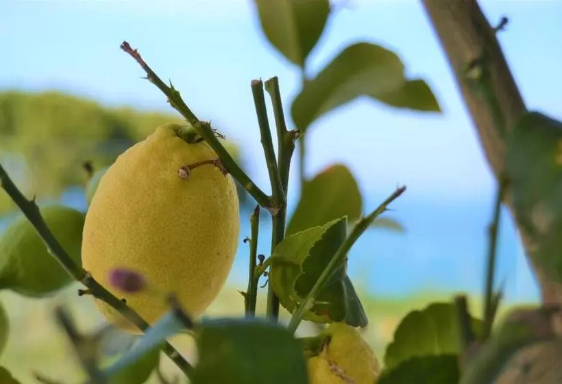 ホテル La Chiave Dei Trabocchi