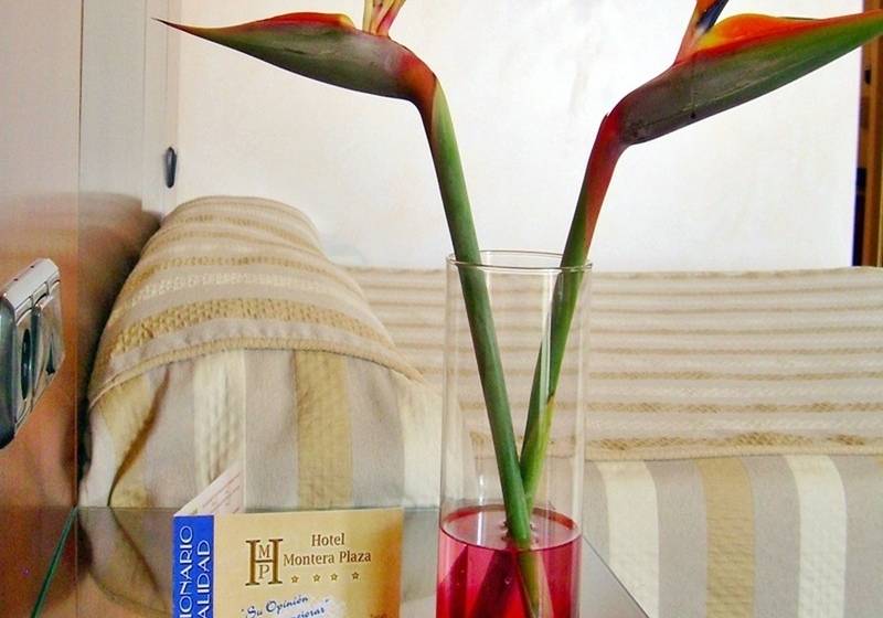 בית מלון כפרי Montera Plaza