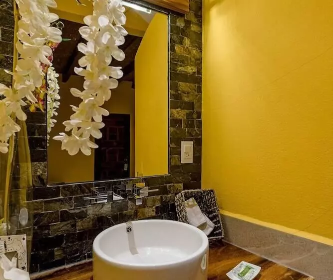 酒店 Suites La Hacienda