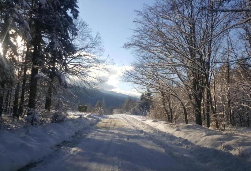 בית מלון כפרי Casa Bunicului
