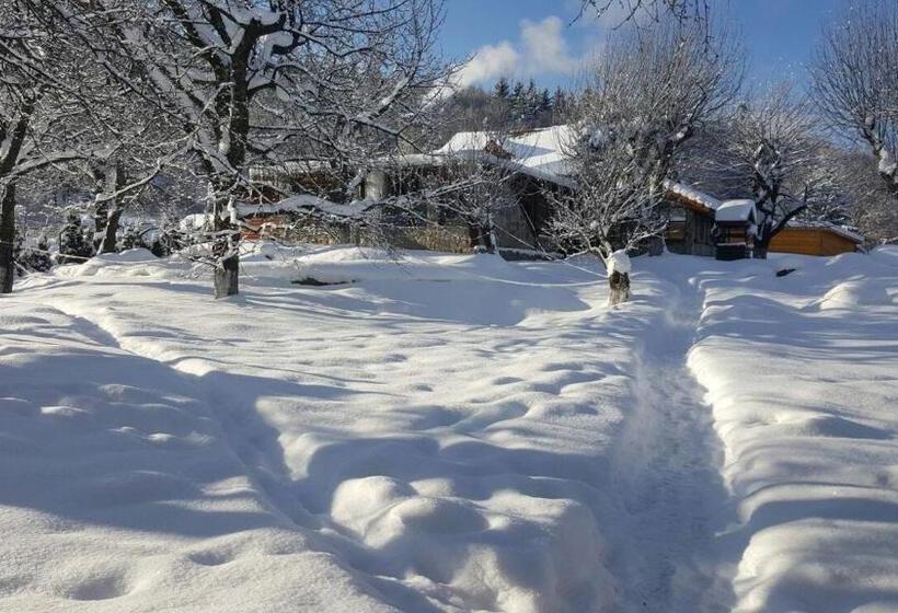 בית מלון כפרי Casa Bunicului