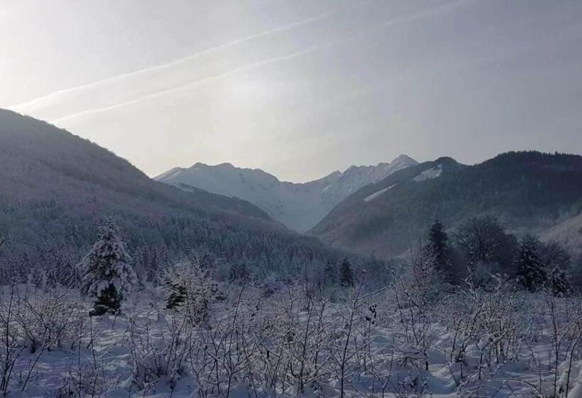 בית מלון כפרי Casa Bunicului