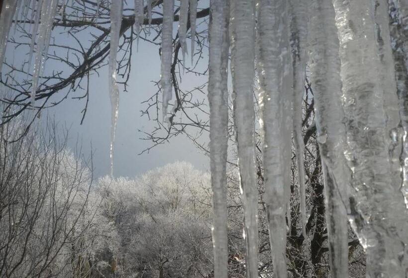 בית מלון כפרי Casa Bunicului