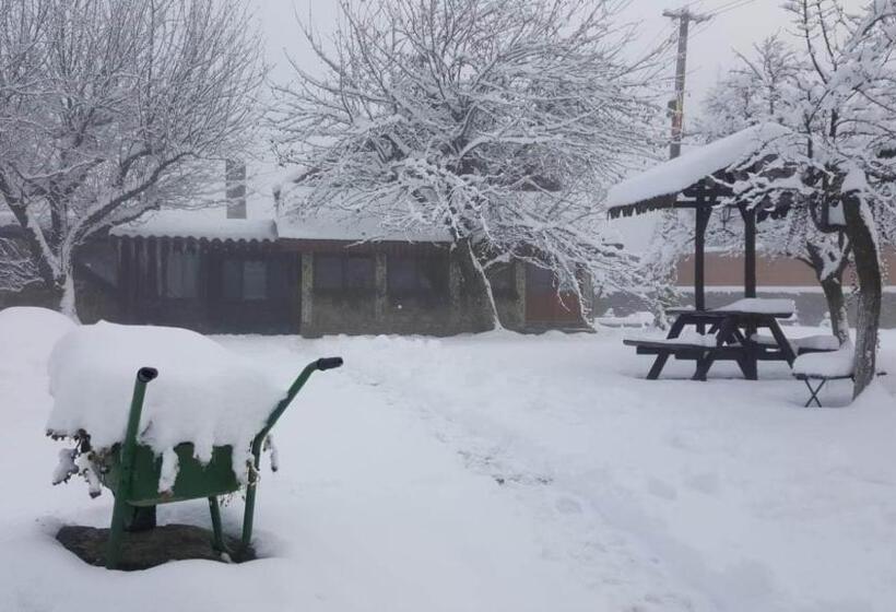 בית מלון כפרי Casa Bunicului