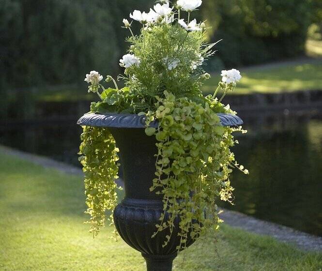 בית מלון כפרי Thorskogs Slott