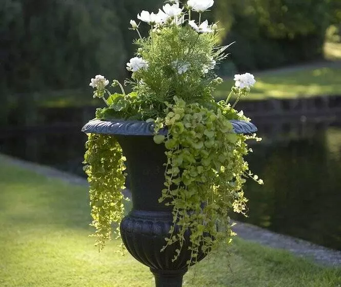 Hotelli Thorskogs Slott