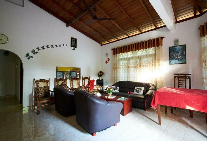 פנסיון Kavee Guest