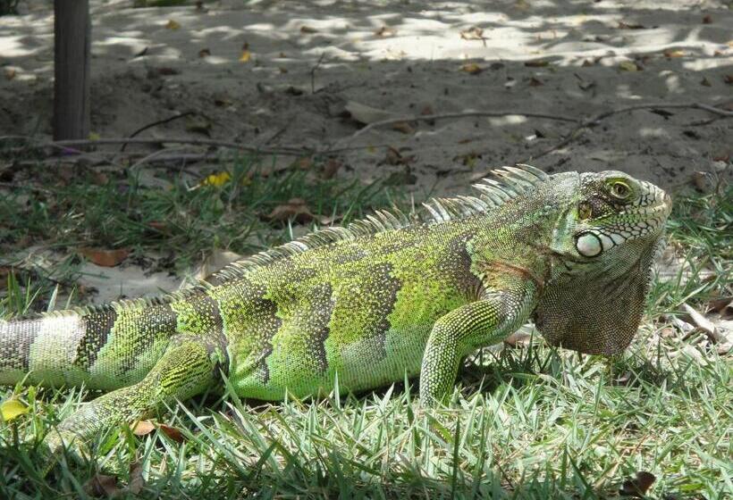 Pensão Pousada Portal Do Vento