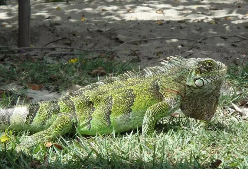 Majatalo Pousada Portal Do Vento