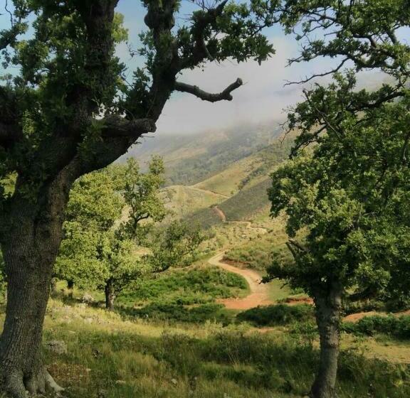 Pensjonat Stone House
