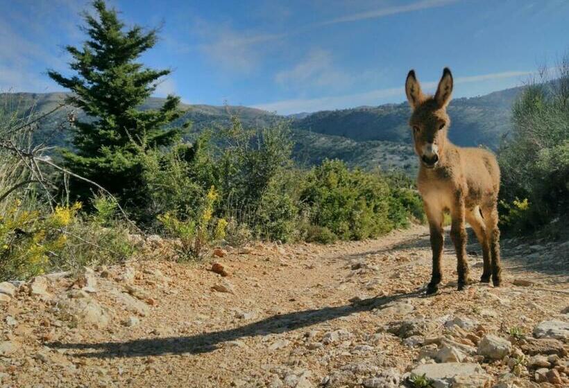 Pensjonat Stone House