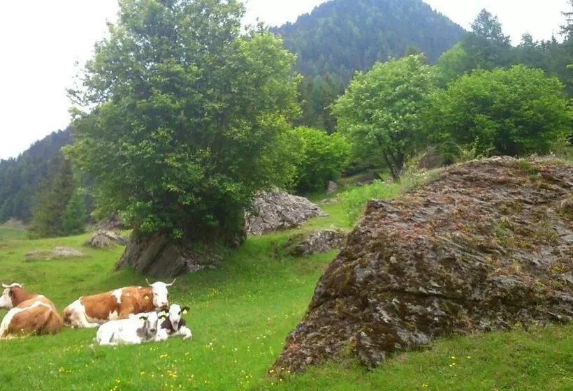 Pension Siegelbrunn B&b