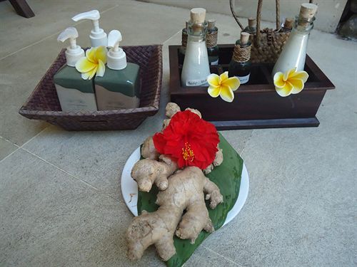 בית מלון כפרי Alam Asmara Dive Resort