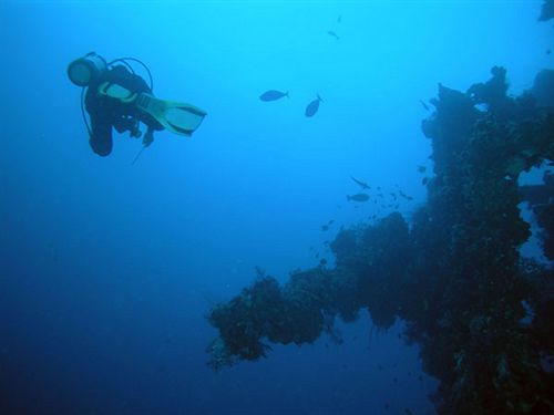 בית מלון כפרי Alam Asmara Dive Resort