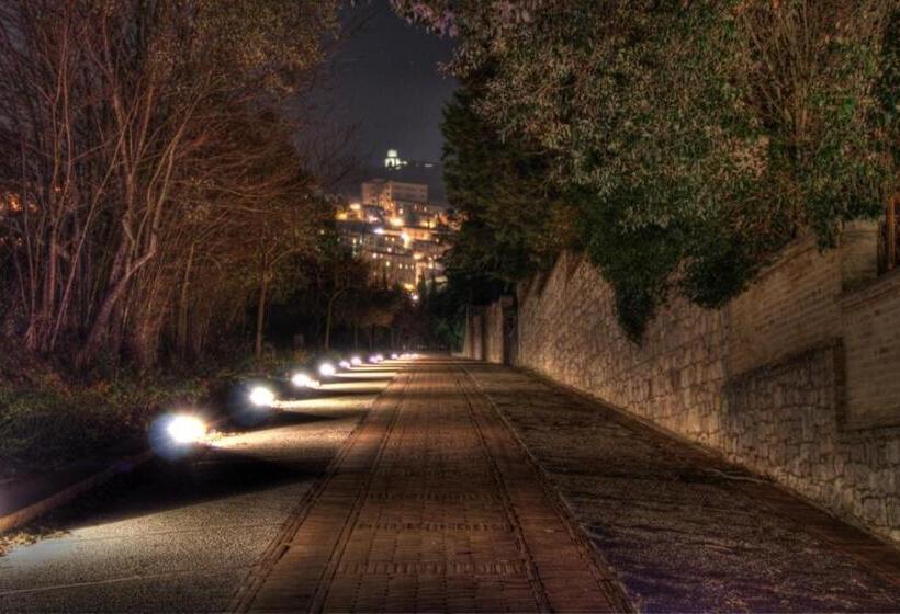 בית מלון כפרי Assisi Garden