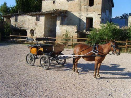בית מלון כפרי Assisi Garden