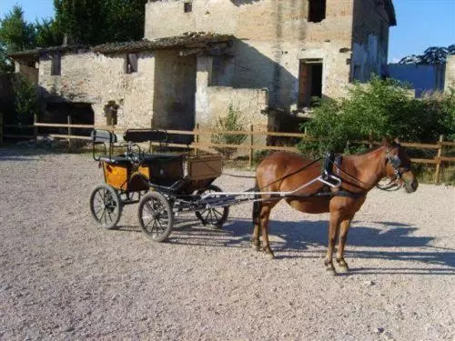 ホテル Assisi Garden