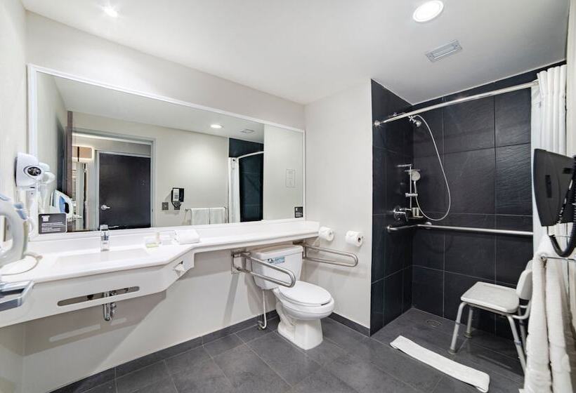 Отель City Express Plus By Marriott Ciudad De México Insurgentes Sur