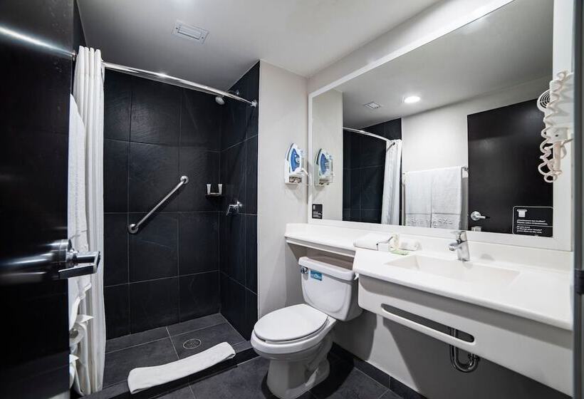 Отель City Express Plus By Marriott Ciudad De México Insurgentes Sur