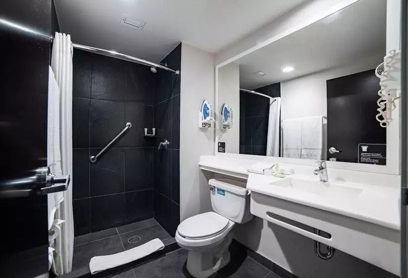 호텔 City Express Plus By Marriott Ciudad De México Insurgentes Sur