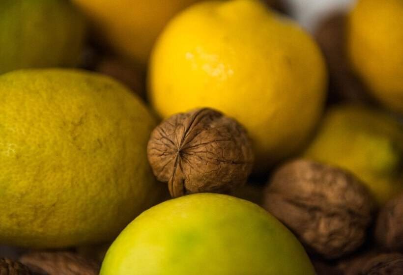 فندق La Pineta Park