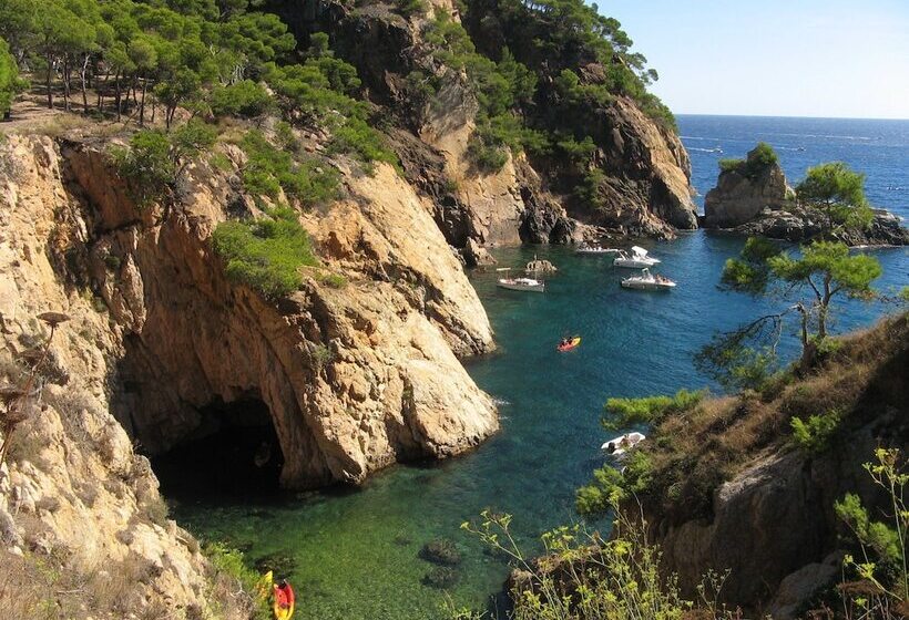 فندق Mas Vilalonga Petit