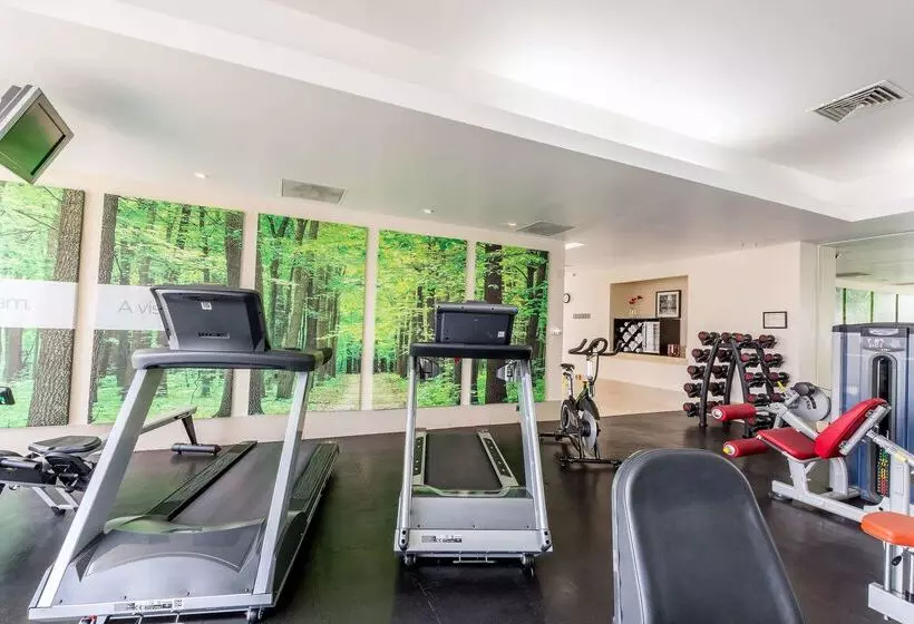 هتل NH Collection Mexico City Santa Fe