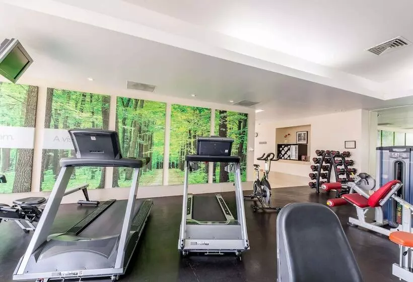 هتل NH Collection Mexico City Santa Fe