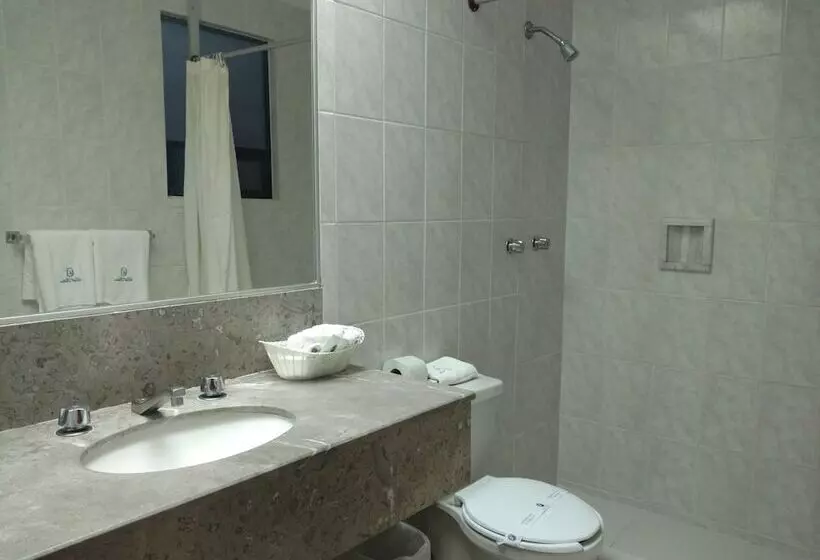 فندق Palace Puebla