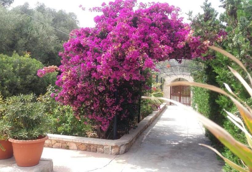 Apartamentos Villa Primera